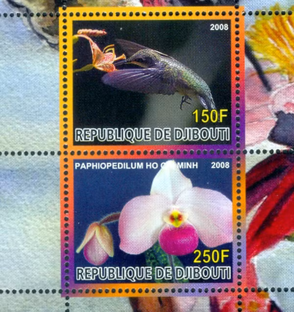 Năm 2008, Cộng hòa Djibouti (vùng Đông Phi) đã phát hành một block gồm 2 tem về hoa lan và chim ruồi, trong đó mẫu tem 250 Djibouti franc giới thiệu cây lan hài mang tên Chủ tịch Hồ Chí Minh (Paphiopedilum Ho Chi Minh).