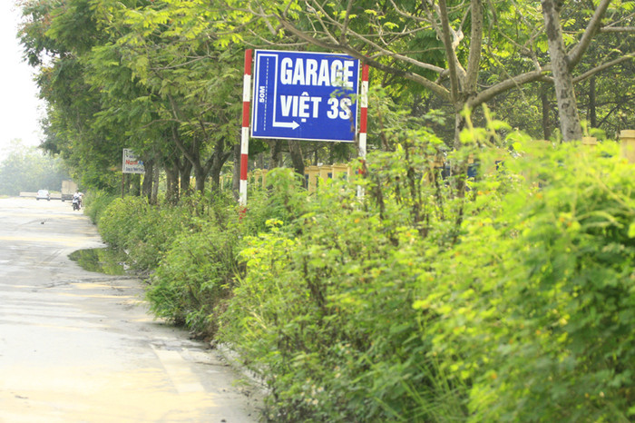 Cỏ mọc um tùm khắp nơi