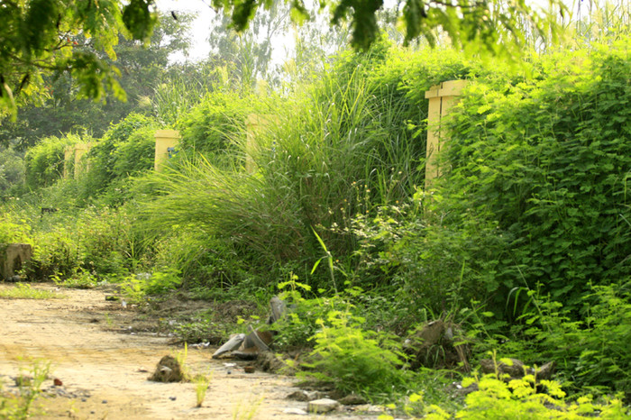 Không ai có thể nhận ra đây là vỉa hè cho người dân có thể đi bộ