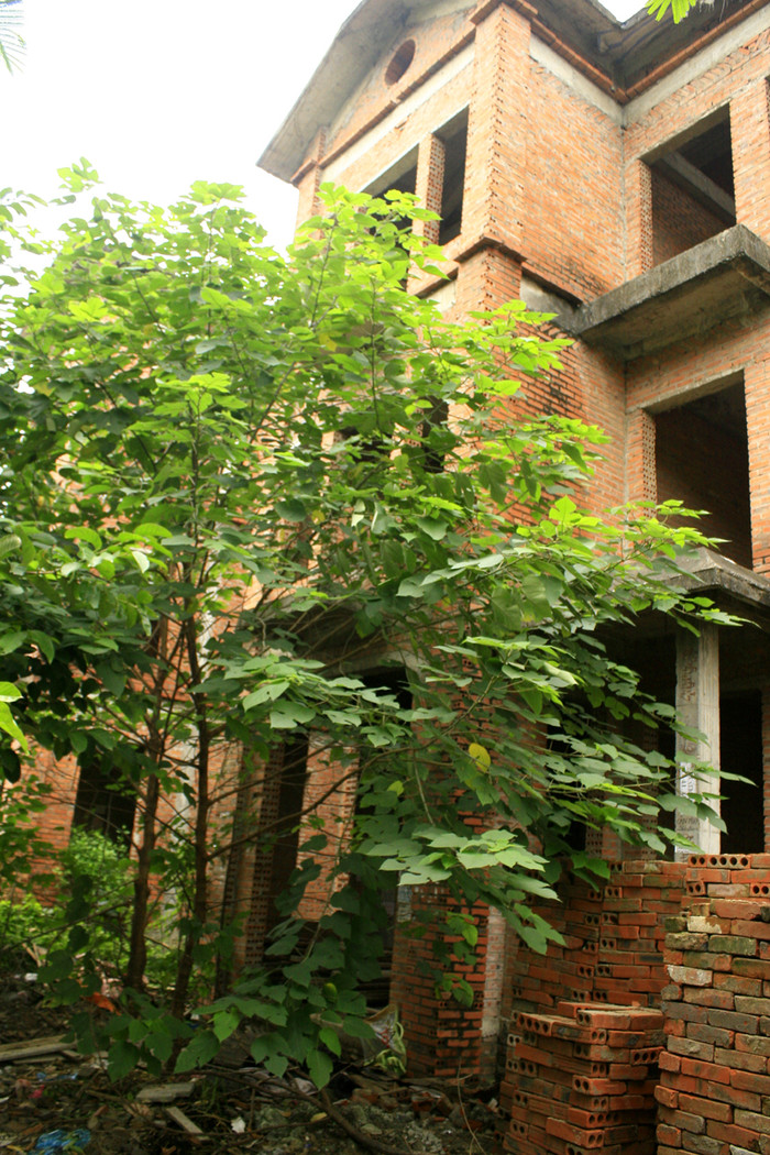 Dù có tiếng là đất chật, người đông nhưng tại Hà Nội vẫn có nhiều khu nhà biệt thự chưa bao giờ hoàn thiện. Đơn cử chính là những căn biệt thự khu đô thị Mễ Trì Hạ Dù có tiếng là đất chật, người đông nhưng tại Hà Nội vẫn có nhiều khu nhà biệt thự chưa bao giờ hoàn thiện. Đơn cử chính là những căn biệt thự khu đô thị Mễ Trì Hạ