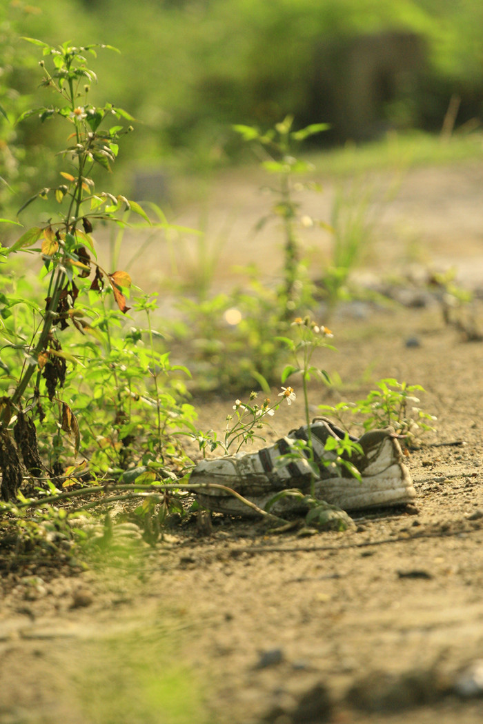 Giữa "rừng" là đủ mọi loại rác