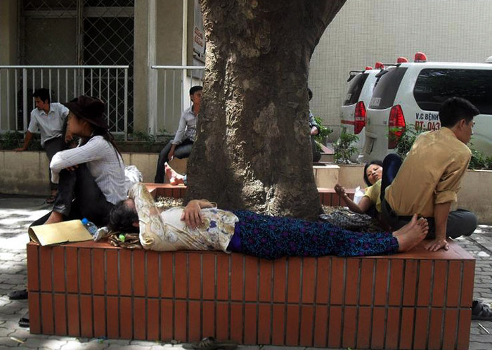 Các gốc cây không còn một chỗ trống Các gốc cây không còn một chỗ trống