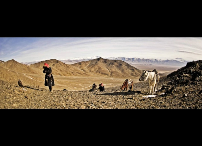 Những con thú săn được thường lấy da và lông làm thành những chiếc mũ Kazakh nổi tiếng, còn thịt để dành cho người và đại bàng. Những con thú săn được thường lấy da và lông làm thành những chiếc mũ Kazakh nổi tiếng, còn thịt để dành cho người và đại bàng.