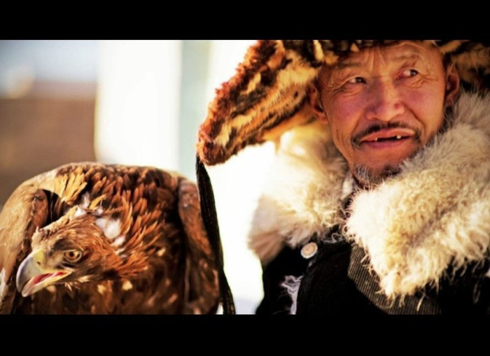 Một trong hai chú đại bàng lông vàng của người thợ săn. Một trong hai chú đại bàng lông vàng của người thợ săn.