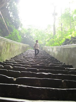 Động mờ ảo và yên tĩnh Động mờ ảo và yên tĩnh