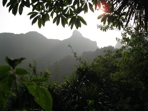 Cảnh rừng núi trong thu, vẫn xanh mướt và rười rượi nắng Cảnh rừng núi trong thu, vẫn xanh mướt và rười rượi nắng