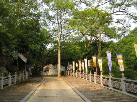 Lối lên từ suối Yến trong nắng thu vàng óng… Lối lên từ suối Yến trong nắng thu vàng óng…