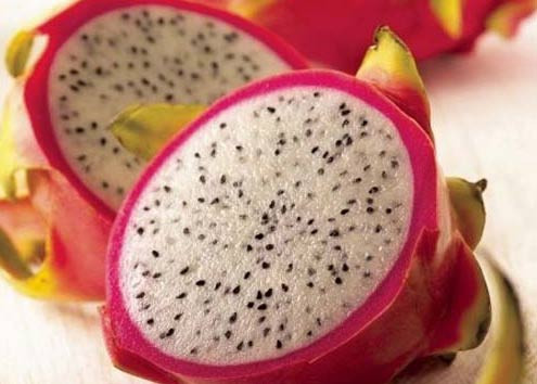 Thanh long là trái cây có lượng calo thấp, chất xơ cao, rất hiệu quả trong giải độc và giảm cân. Thanh long có chứa vitamin C giúp làm trắng da và giảm béo, giúp lượng đường trong máu thấp hơn. Thanh long cũng rất hiệu quả trong việc phòng ngừa và điều trị táo bón. Thanh long là trái cây có lượng calo thấp, chất xơ cao, rất hiệu quả trong giải độc và giảm cân. Thanh long có chứa vitamin C giúp làm trắng da và giảm béo, giúp lượng đường trong máu thấp hơn. Thanh long cũng rất hiệu quả trong việc phòng ngừa và điều trị táo bón.