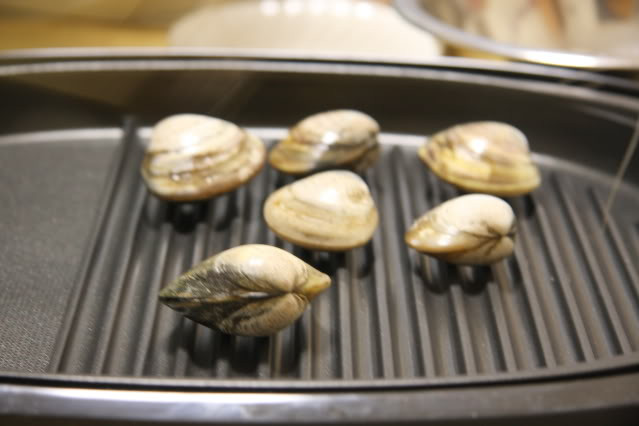 Ngao sò nướng: Dễ nhiễm độc Trong ngao sò có tới 38 loài tảo độc, trong đó có 4 loại độc tố cực kỳ nguy hiểm gây tiêu chảy, liệt cơ, mất trí nhớ và nhũn não... Vì vậy không nên ăn ngao nướng vì thịt ngao vẫn tai tái, chưa chín kỹ. Để loại bớt độc tố, khi ăn ngao sò nên bỏ ruột. Ngao sò nướng: Dễ nhiễm độc Trong ngao sò có tới 38 loài tảo độc, trong đó có 4 loại độc tố cực kỳ nguy hiểm gây tiêu chảy, liệt cơ, mất trí nhớ và nhũn não... Vì vậy không nên ăn ngao nướng vì thịt ngao vẫn tai tái, chưa chín kỹ. Để loại bớt độc tố, khi ăn ngao sò nên bỏ ruột.