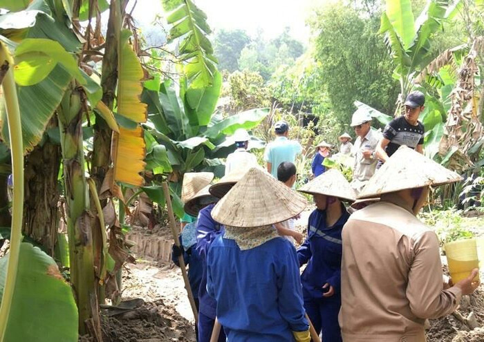 Thành phố Hạ Long ra thông báo khẩn yêu cầu dân di dời vì sợ lũ bùn, đất của FLC ảnh 6 Thành phố Hạ Long ra thông báo khẩn yêu cầu dân di dời vì sợ lũ bùn, đất của FLC ảnh 6