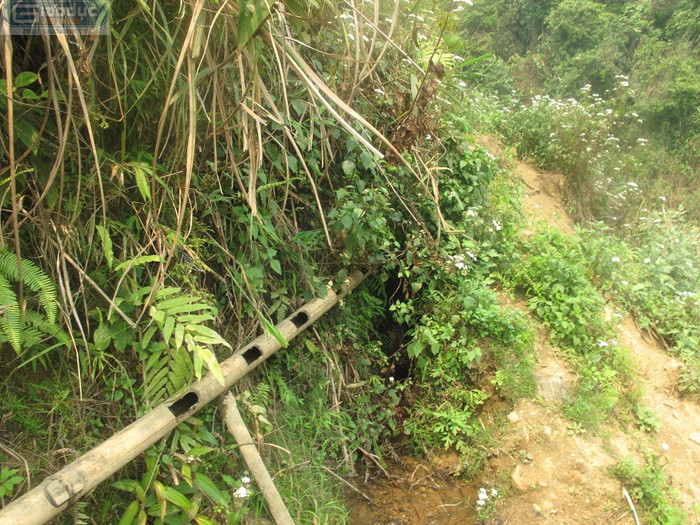 Vì những mó nước quanh bản luôn trong tình trạng không còn giọt nước đọng.