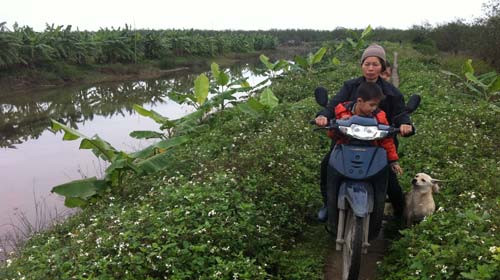 Cưỡng chế ở Tiên Lãng là trái luật Cưỡng chế ở Tiên Lãng là trái luật