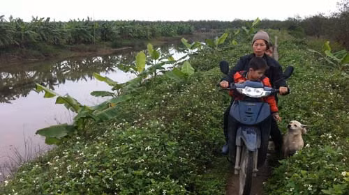 Cưỡng chế ở Tiên Lãng là trái luật