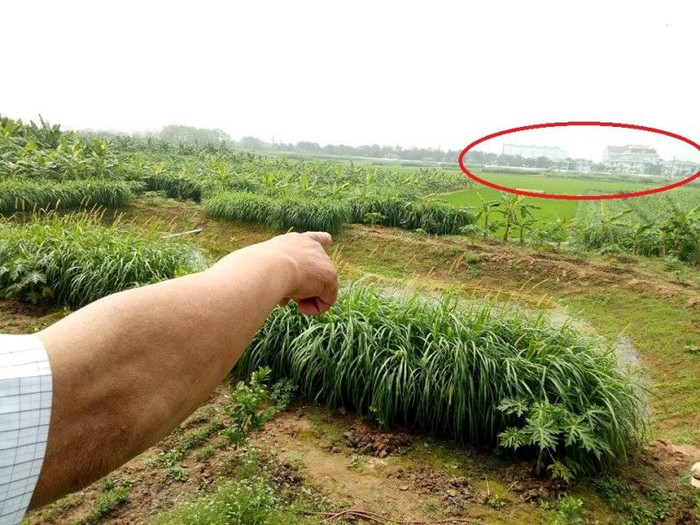 Tòa nhà trắng toát của tập đoàn FLC sừng sững giữa cánh đồng đất nông nghiệp trù phú của người dân xã Vĩnh Thịnh, huyện Vĩnh Tường, tỉnh Vĩnh Phúc (ảnh nguồn Giáo dục Việt Nam) Tòa nhà trắng toát của tập đoàn FLC sừng sững giữa cánh đồng đất nông nghiệp trù phú của người dân xã Vĩnh Thịnh, huyện Vĩnh Tường, tỉnh Vĩnh Phúc (ảnh nguồn Giáo dục Việt Nam)