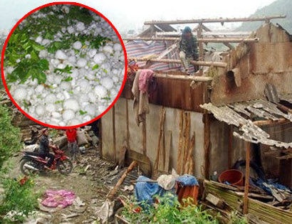 Trận mưa đá kỉ lục ở Lào Cai đã tàn phá quang cảnh nơi đây. Trận mưa đá kỉ lục ở Lào Cai đã tàn phá quang cảnh nơi đây.