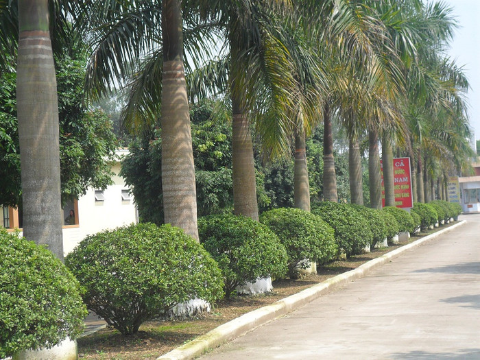 Khuôn viên bên trong Lữ đoàn rất khang trang và sạch đẹp. Khuôn viên bên trong Lữ đoàn rất khang trang và sạch đẹp.