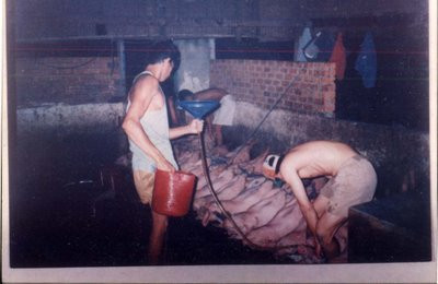 Tuy nhiên, theo giới kinh doanh, heo nuôi bằng chất tăng trọng sẽ rất dễ bị chết khi vận chuyển đường xa nên gần đây thương lái đối phó bằng cách chích cho heo một loại thuốc an thần để heo ngủ li bì. Khi đưa heo về lò giết mổ, họ tiếp tục tiêm thêm loại thuốc này một lần nữa.