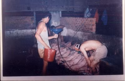 Tuy nhiên, theo giới kinh doanh, heo nuôi bằng chất tăng trọng sẽ rất dễ bị chết khi vận chuyển đường xa nên gần đây thương lái đối phó bằng cách chích cho heo một loại thuốc an thần để heo ngủ li bì. Khi đưa heo về lò giết mổ, họ tiếp tục tiêm thêm loại thuốc này một lần nữa.