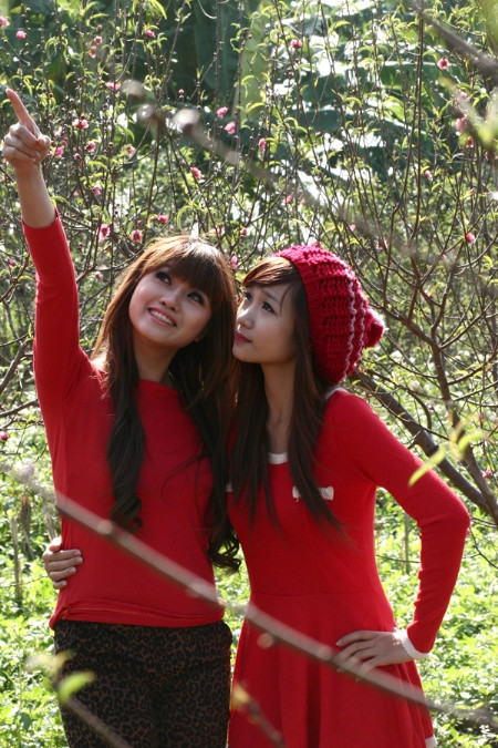 Cùng tận hưởng vẻ đẹp của dấu hiệu mùa xuân, của Tết. Cùng tận hưởng vẻ đẹp của dấu hiệu mùa xuân, của Tết.