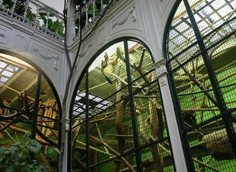 Schönbrunn là vườn thú lâu đời nhất thế giới. Tọa lạc tại Vienna, Áo, Schönbrunn được xây từ năm 1752 theo yêu cầu của Hoàng đế Franz I. Sở thú có đa dạng các loài và rất đông du khách thăm quan. Thế chiến thứ II tàn phá vườn thú, làm giảm khoảng một nửa số lượng động vật.