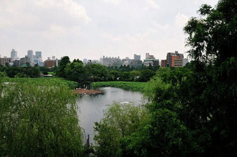 Được thành lập năm 1882, Ueno là vườn thú lâu đời nhất ở Nhật Bản. Đây là nơi cư trú của hơn 2.600 loài động vật. Điểm nhấn đặc biệt của Ueno là loài gấu trúc.