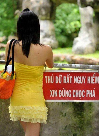 Đừng dại mà chọc phá thú dữ