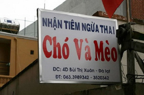 Chó và mèo cũng cần ngừa thai. Chó và mèo cũng cần ngừa thai.