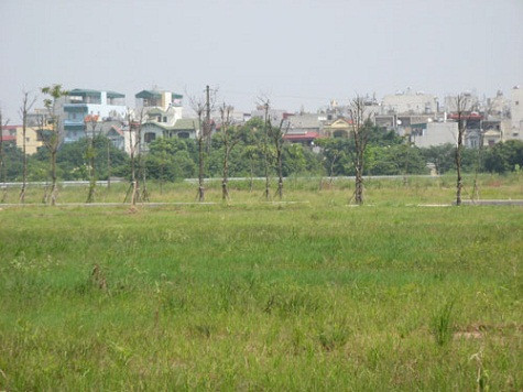 Sau gần 2 năm khởi công dự án vẫn là khu đất hoang cỏ mọc