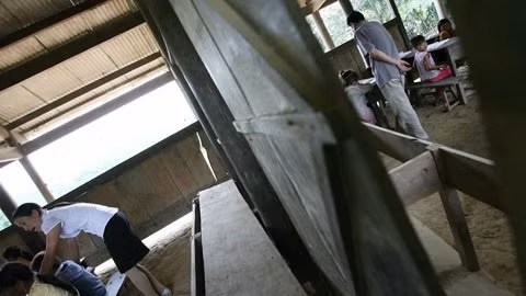 Toàn bộ dãy phòng học gồm 4 lớp đều được thông nhau bằng những lỗ thủng thế này.