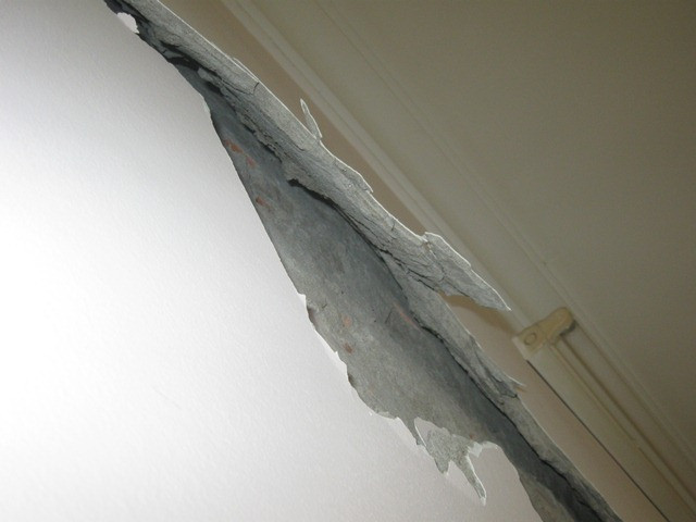 Rạn nứt... Rạn nứt...