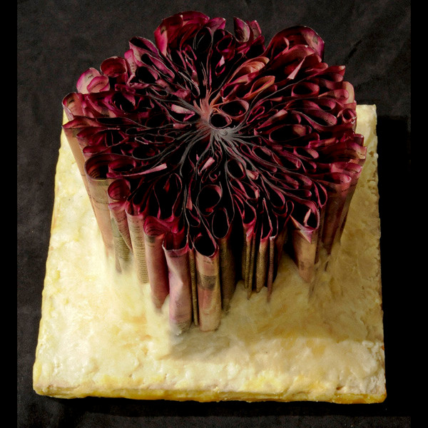 Bông hoa giấy làm từ nguyên một cuốn sách. Bông hoa giấy làm từ nguyên một cuốn sách.