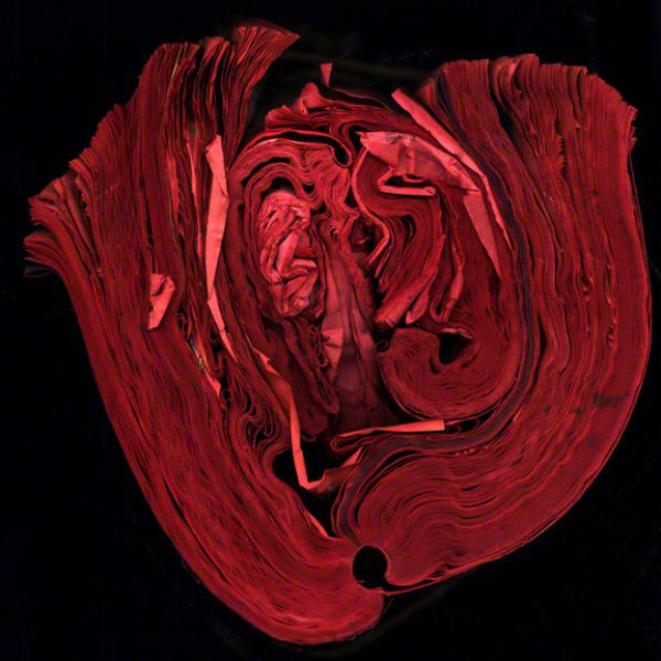 Trông giống hình một ngọn lửa, phải không nào? Trông giống hình một ngọn lửa, phải không nào?