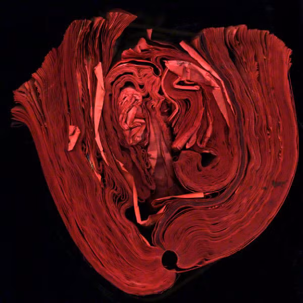 Trông giống hình một ngọn lửa, phải không nào?