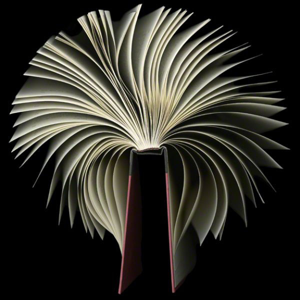 Để tạo được những đường cong uốn lượn như ý, trước hết, nữ nghệ sĩ phải ngâm cuốn sách vào nước trong nhiều giờ, sau đó hong khô vừa phải rồi cuốn lại, làm quăn và tạo nếp. Tác giả còn sử dụng cả lô uốn tóc để uốn tròn rồi dùng miếng dán để cố định các mép giấy với nhau. Để tạo được những đường cong uốn lượn như ý, trước hết, nữ nghệ sĩ phải ngâm cuốn sách vào nước trong nhiều giờ, sau đó hong khô vừa phải rồi cuốn lại, làm quăn và tạo nếp. Tác giả còn sử dụng cả lô uốn tóc để uốn tròn rồi dùng miếng dán để cố định các mép giấy với nhau.