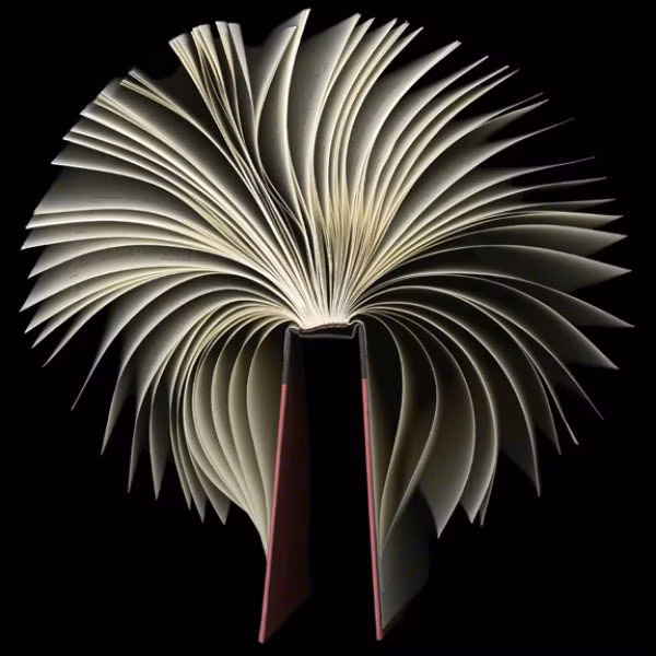 Để tạo được những đường cong uốn lượn như ý, trước hết, nữ nghệ sĩ phải ngâm cuốn sách vào nước trong nhiều giờ, sau đó hong khô vừa phải rồi cuốn lại, làm quăn và tạo nếp. Tác giả còn sử dụng cả lô uốn tóc để uốn tròn rồi dùng miếng dán để cố định các mép giấy với nhau.