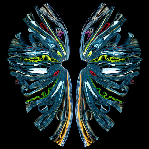 Vật liệu được nữ nghệ sĩ Cara Barer sử dụng hoàn toàn là sách báo cũ được bà sưu tầm từ các hiệu sách hoặc bạn bè. Vật liệu được nữ nghệ sĩ Cara Barer sử dụng hoàn toàn là sách báo cũ được bà sưu tầm từ các hiệu sách hoặc bạn bè.