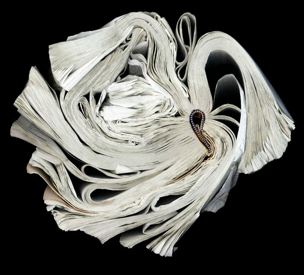 Đơn giản nhưng cực kỳ ấn tượng. Đơn giản nhưng cực kỳ ấn tượng.