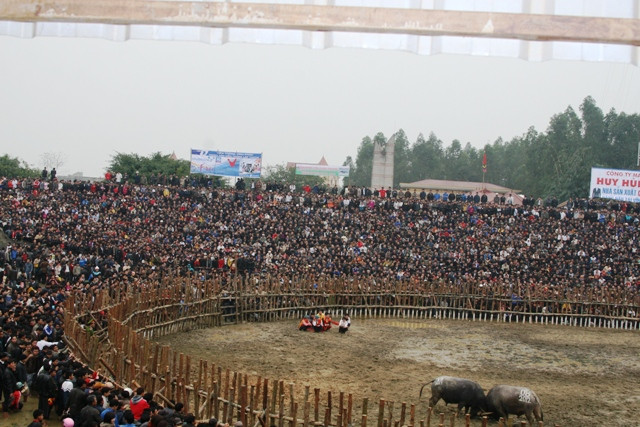 Một góc hội chọi