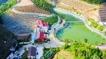 giaoduc.net.vn