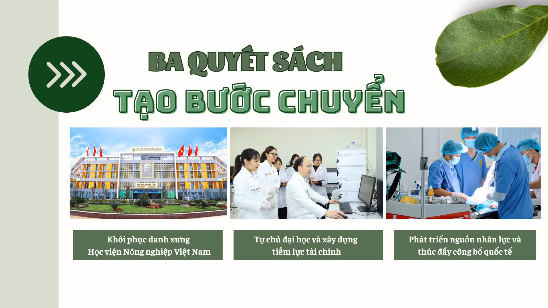 green-modern-hydroponic-farming-innovations-presentation-6.png