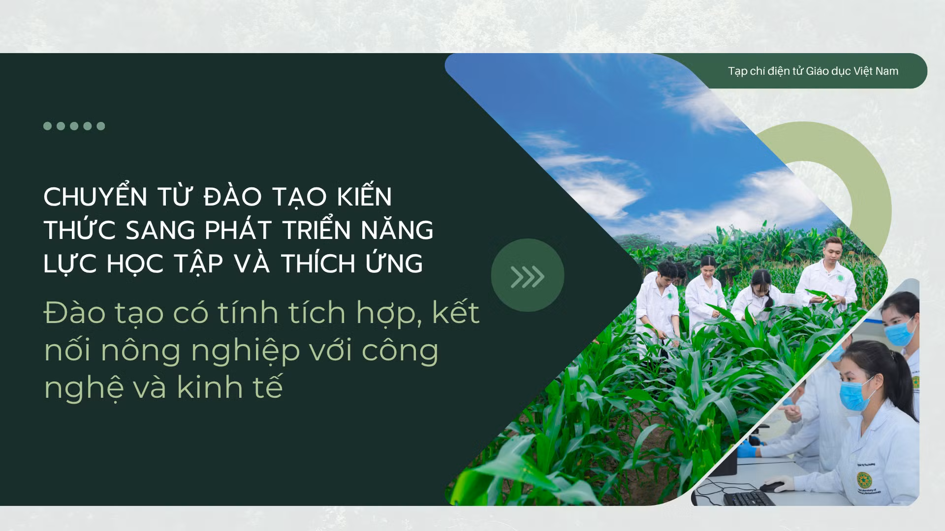 green-modern-hydroponic-farming-innovations-presentation-5.png