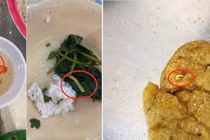 Sinh viên ĐH Huế phản ánh bữa ăn "nước mắm có gián", "chả cá có dòi", "canh có sâu", Sở Y tế nói gì?