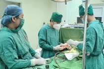 Đề xuất phương án sắp xếp đơn vị sự nghiệp công lập ngành Y tế