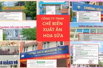 Công ty TNHH Chế biến Xuất ăn Hoa Sữa trúng thầu cung cấp suất ăn bán trú tại trường công nào ở HN?