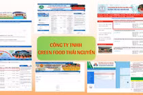 Phê duyệt Công ty Green Food Thái Nguyên trúng thầu cung cấp suất ăn, trường công khai ra sao?