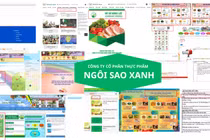 Hà Nội: Trường học phê duyệt Công ty thực phẩm Ngôi Sao Xanh trúng thầu công khai thông tin ra sao?