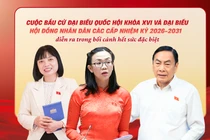 Bầu cử Quốc hội và HĐND: Đại biểu cần hội đủ yếu tố bản lĩnh, trách nhiệm và gắn bó