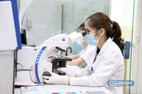 ĐBQH, nhà khoa học kỳ vọng vào cơ chế, chính sách vượt trội của Hà Nội để thu hút người tài năng