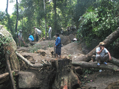 Nhiều cây cổ thụ bị đốn hạ không thương tiếc phục vụ cho việc cắm trại tìm trầm Nhiều cây cổ thụ bị đốn hạ không thương tiếc phục vụ cho việc cắm trại tìm trầm