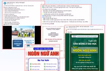Văn bằng 2 Ngôn ngữ Anh mang lại đặc quyền, đặc lợi gì mà nhiều người đổ xô đi học?